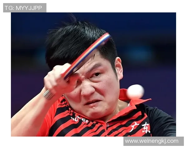 2017年樊振东在国际乒乓球赛中对阵日本选手的精彩表现回顾