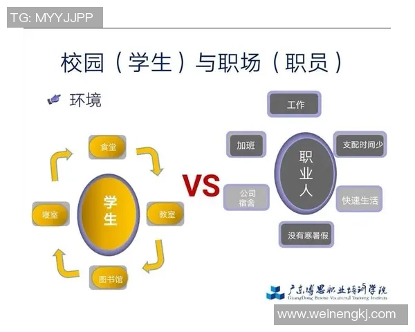何思雨的成长之路：从校园到职场的蜕变与追梦历程