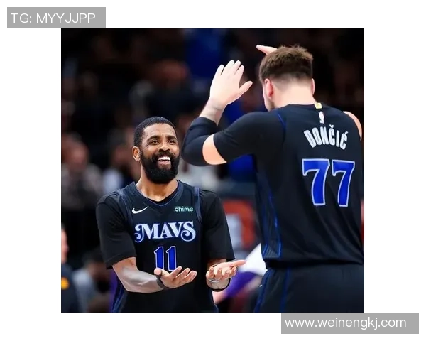 国王队与独行侠在线对决精彩回放与赛季分析全方位解读