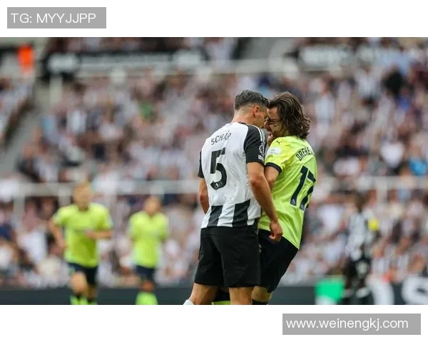 英超精彩对决南安普顿迎战纽卡斯尔全场直播不容错过 英超精彩对决南安普顿迎战纽卡斯尔全场直播不容错过