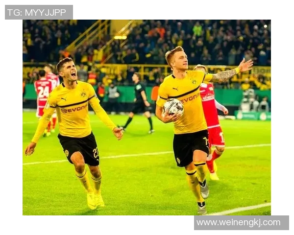 弗赖堡与多特蒙德精彩对决回放分析及赛后点评 弗赖堡与多特蒙德精彩对决回放分析及赛后点评