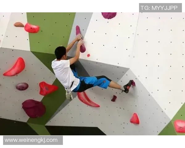 杭州攀岩队与西安攀岩队赛后心理素质对比分析与反思MBA 杭州攀岩队与西安攀岩队赛后心理素质对比分析与反思MBA