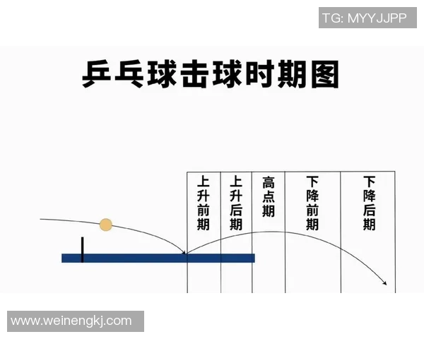 深圳乒乓球队战术分析与提升策略探讨之路