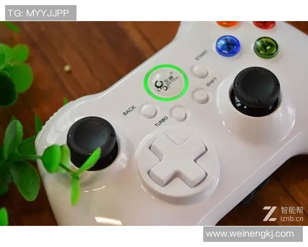 王者荣耀装备选购指南：最佳游戏手柄推荐与使用技巧分享