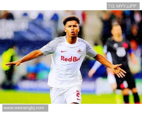 萨尔茨堡与维也纳对决分析及比赛前瞻全面解读