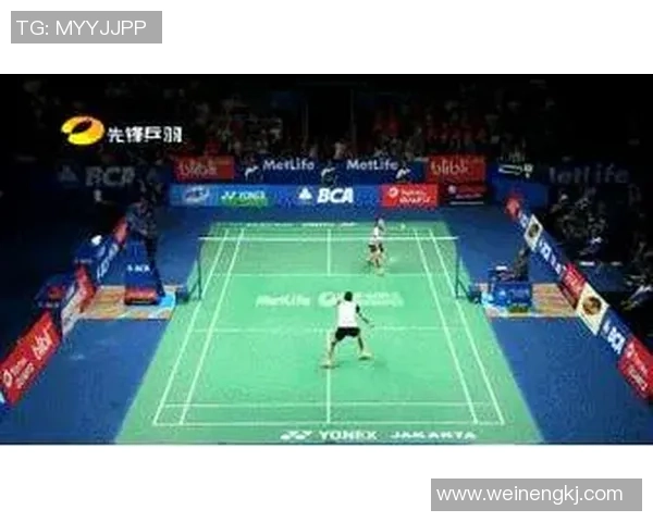 成都羽毛球队的战术控制与训练深度解析